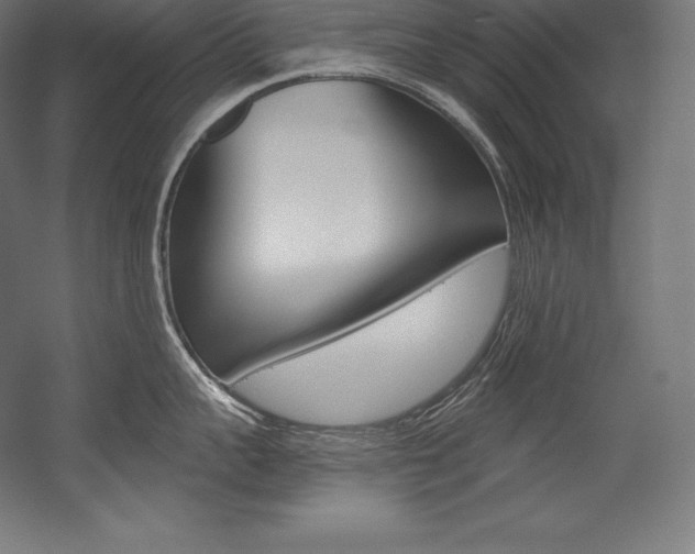 X0000054380959200507290853