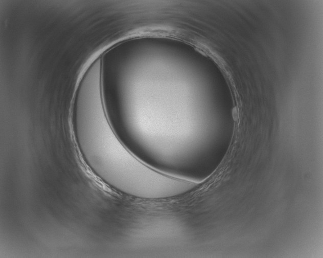 X0000054380960200507290853