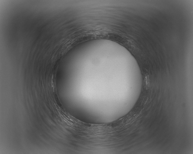 X0000054380963200507290853