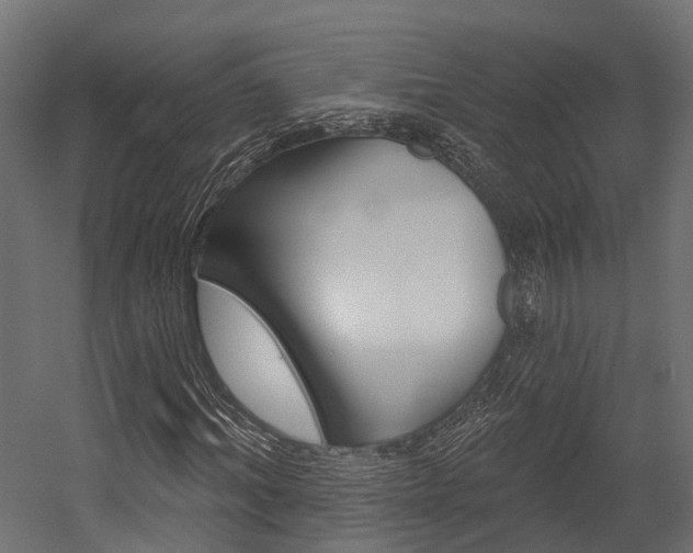 X0000054380964200507290853