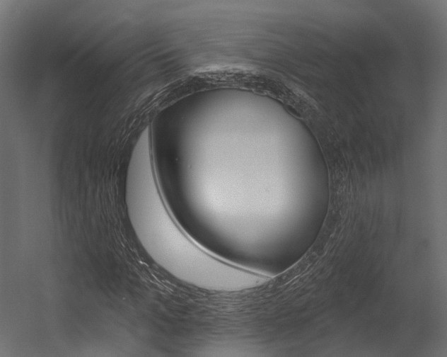 X0000054380965200507290853