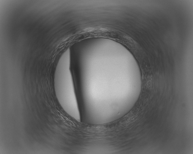X0000054380966200507290853