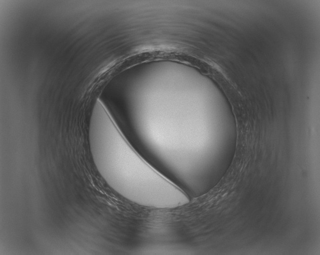 X0000054380967200507290853