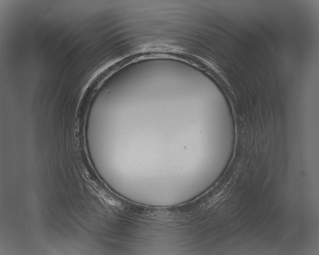 X0000054380971200507290852
