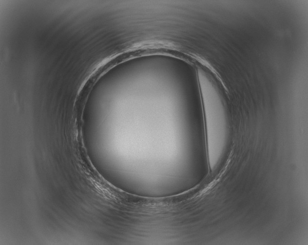 X0000054380973200507290852