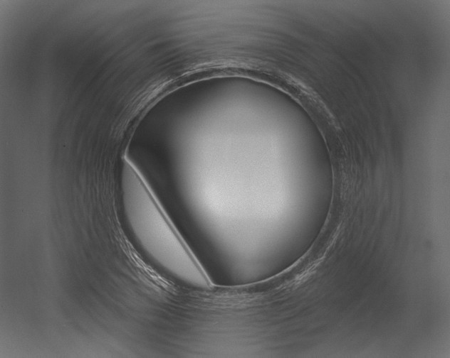 X0000054380977200507290852