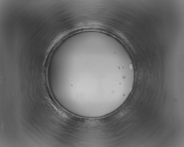 X0000054380978200507290852
