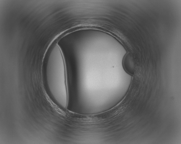 X0000054380980200507290852