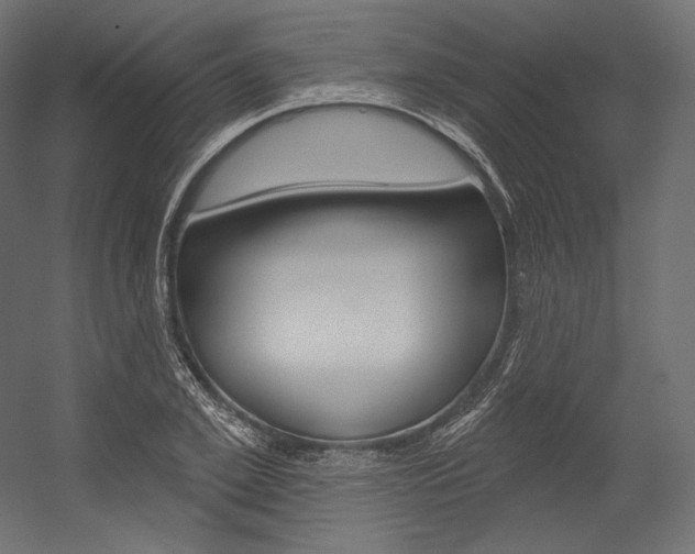 X0000054380981200507290852