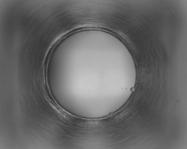 X0000054380982200507290852