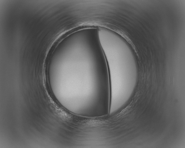 X0000054380984200507290852