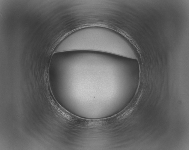 X0000054380985200507290852