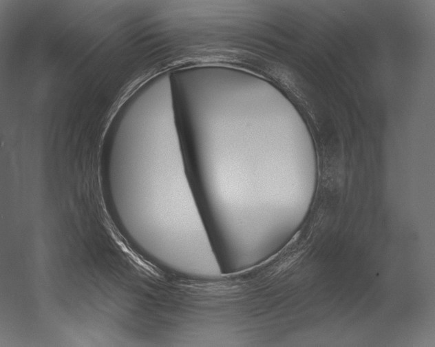 X0000054380986200507290852