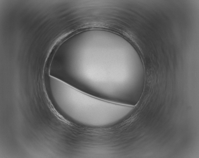 X0000054380987200507290852