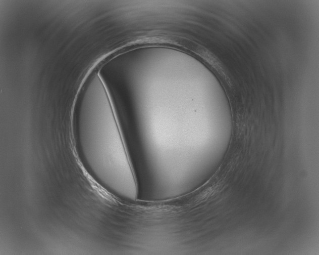 X0000054380988200507290852