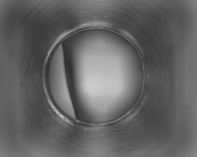 X0000054380989200507290852