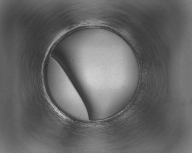 X0000054380990200507290852