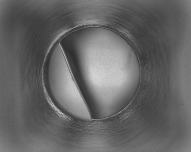 X0000054380991200507290852