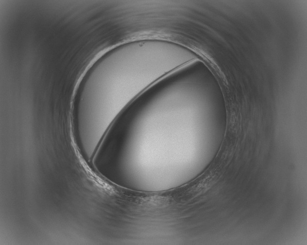 X0000054380992200507290852