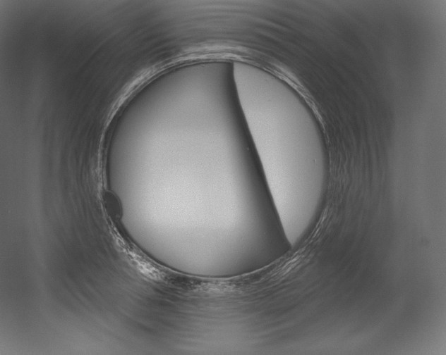 X0000054380994200507290852