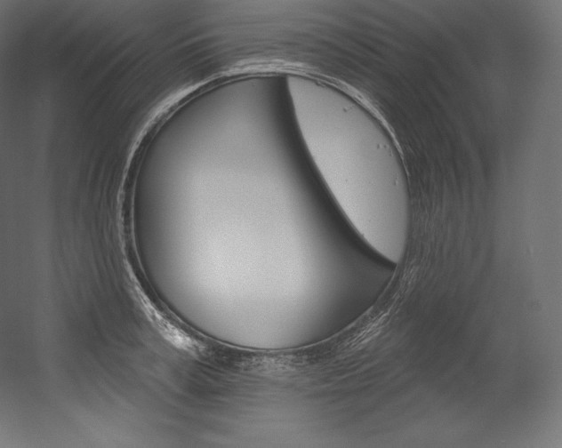 X0000054380995200507290852