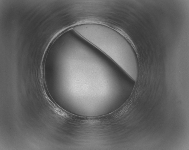 X0000054380996200507290852