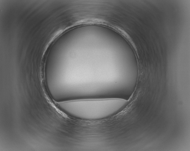 X0000054380997200507290852