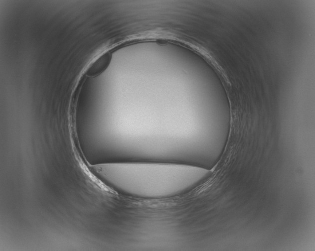 X0000054380998200507290852