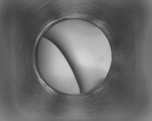 X0000054381000200507290852
