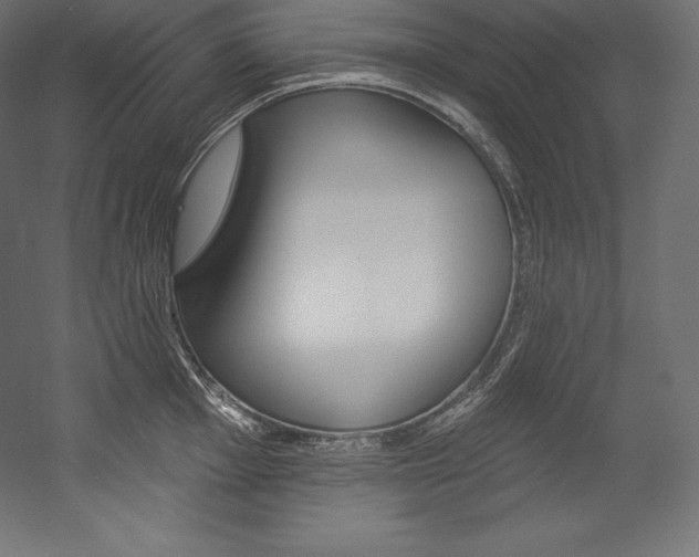 X0000054381001200507290852