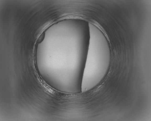 X0000054381002200507290852