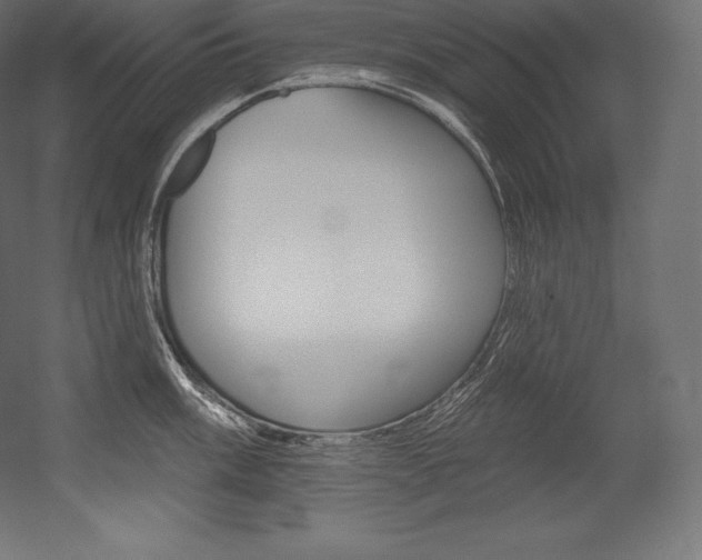 X0000054381003200507290852