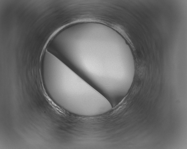 X0000054381004200507290852