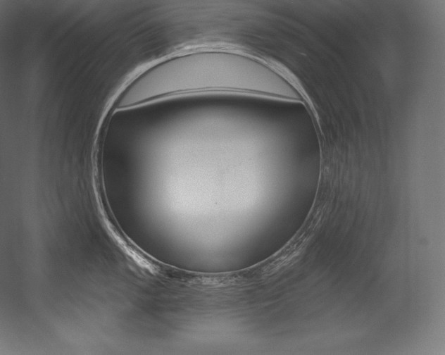 X0000054381005200507290852