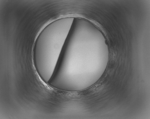 X0000054381006200507290852