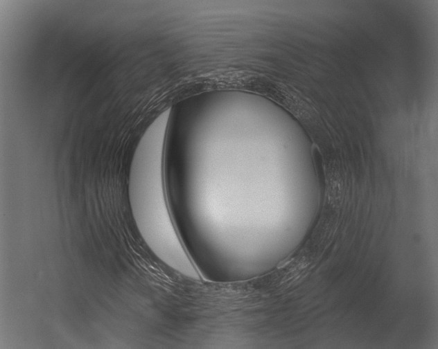 X0000054381010200507290851