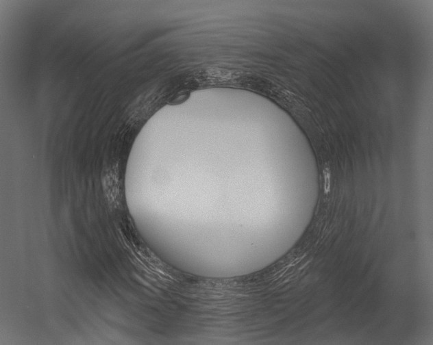 X0000054381011200507290851