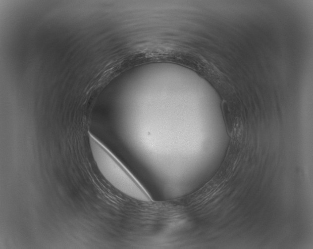 X0000054381012200507290851