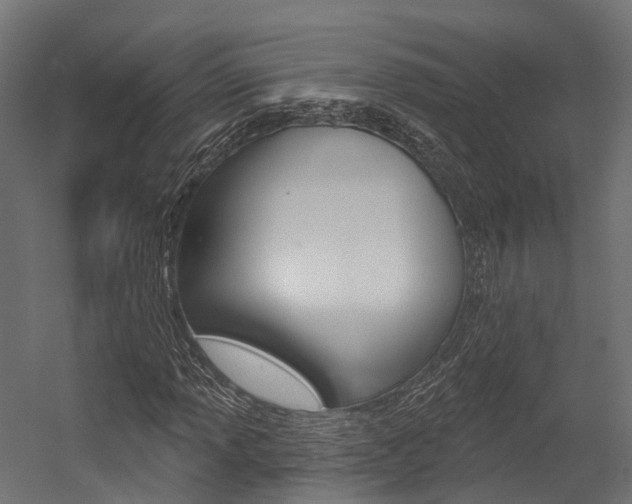 X0000054381013200507290851