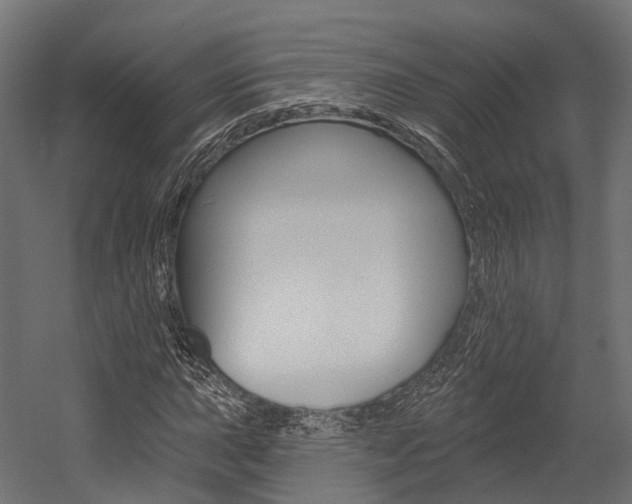 X0000054381015200507290851