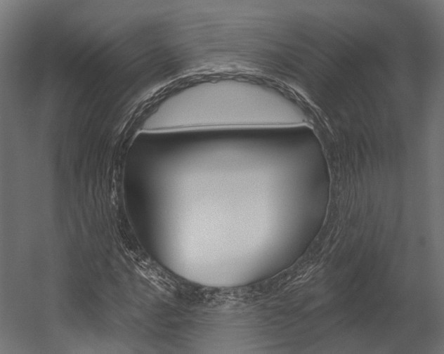 X0000054381016200507290851