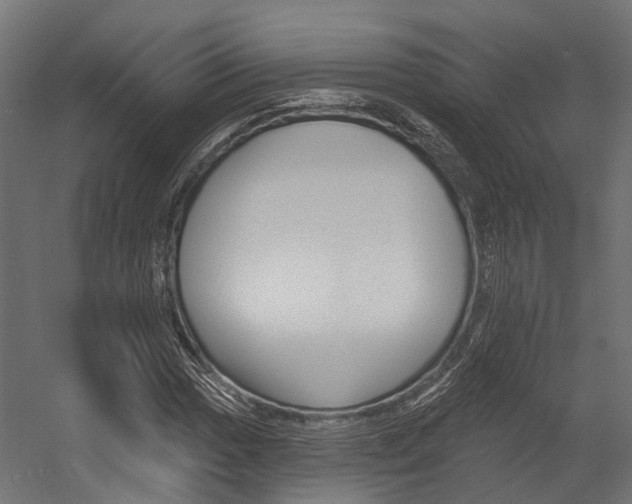 X0000054381017200507290851
