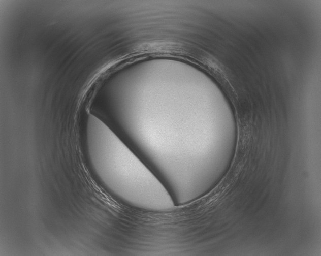 X0000054381019200507290851