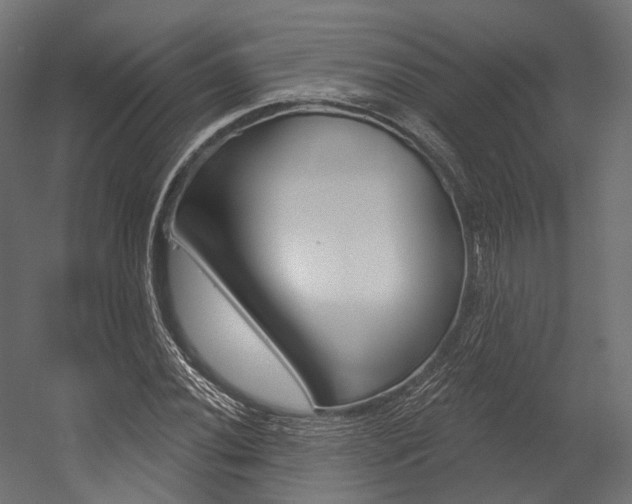 X0000054381020200507290851