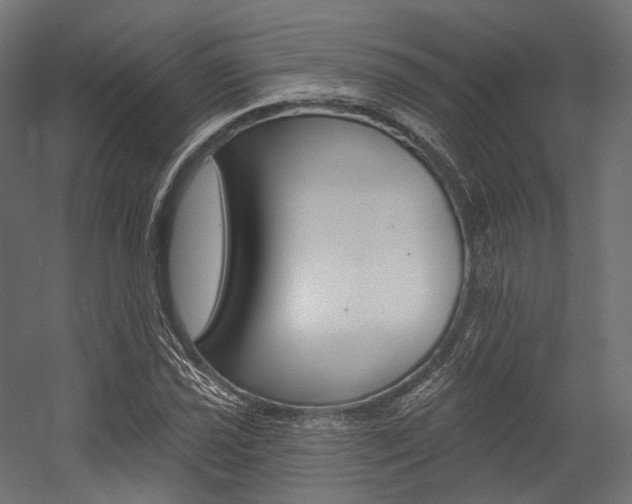 X0000054381021200507290851