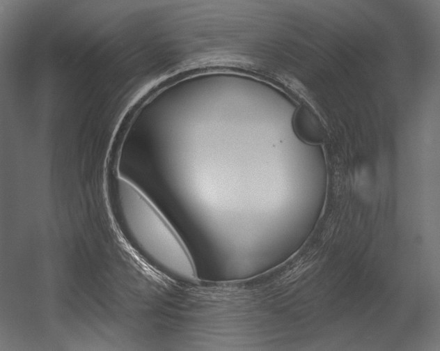 X0000054381024200507290851