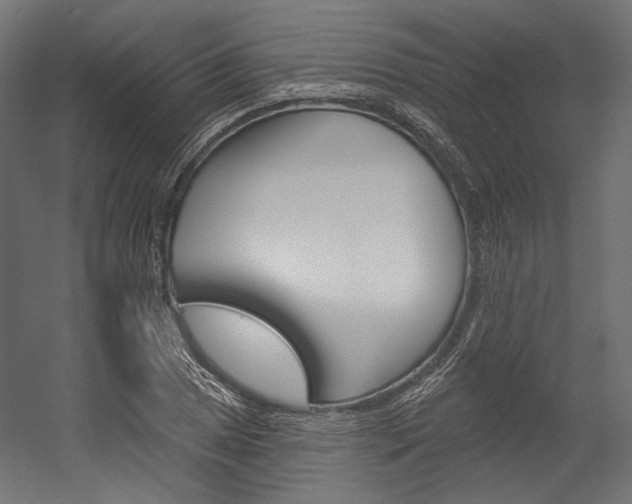 X0000054381025200507290851
