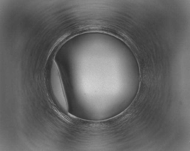 X0000054381026200507290851