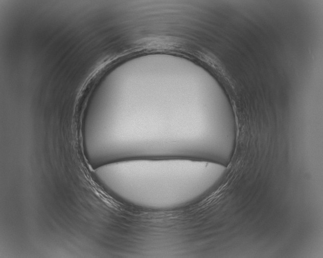X0000054381027200507290851