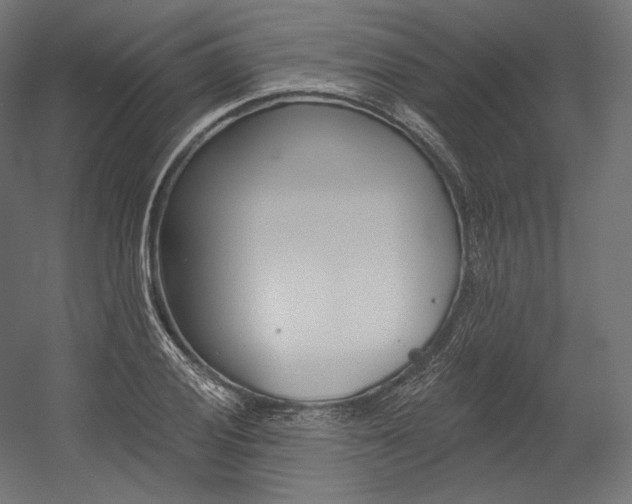 X0000054381028200507290851